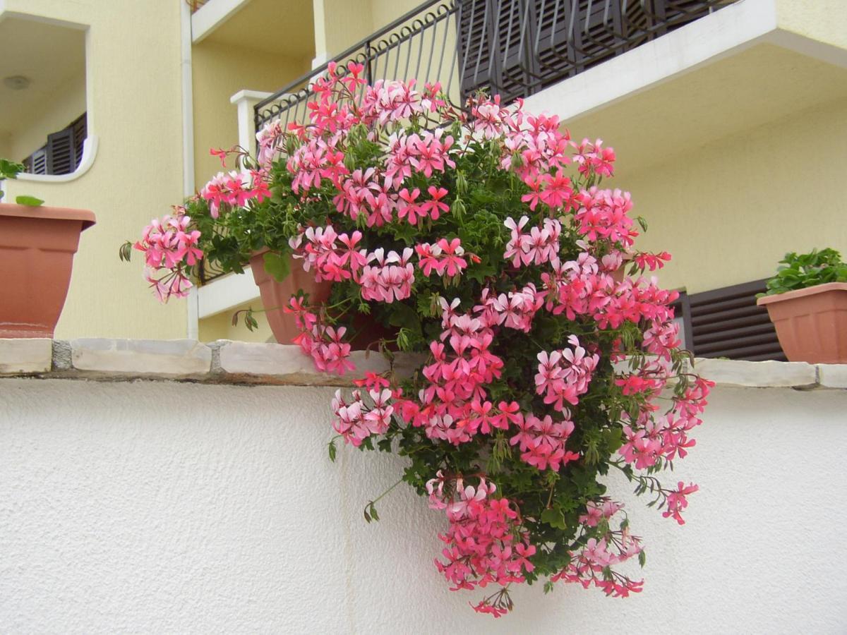 Apartments Pilic Šibenik Exterior foto